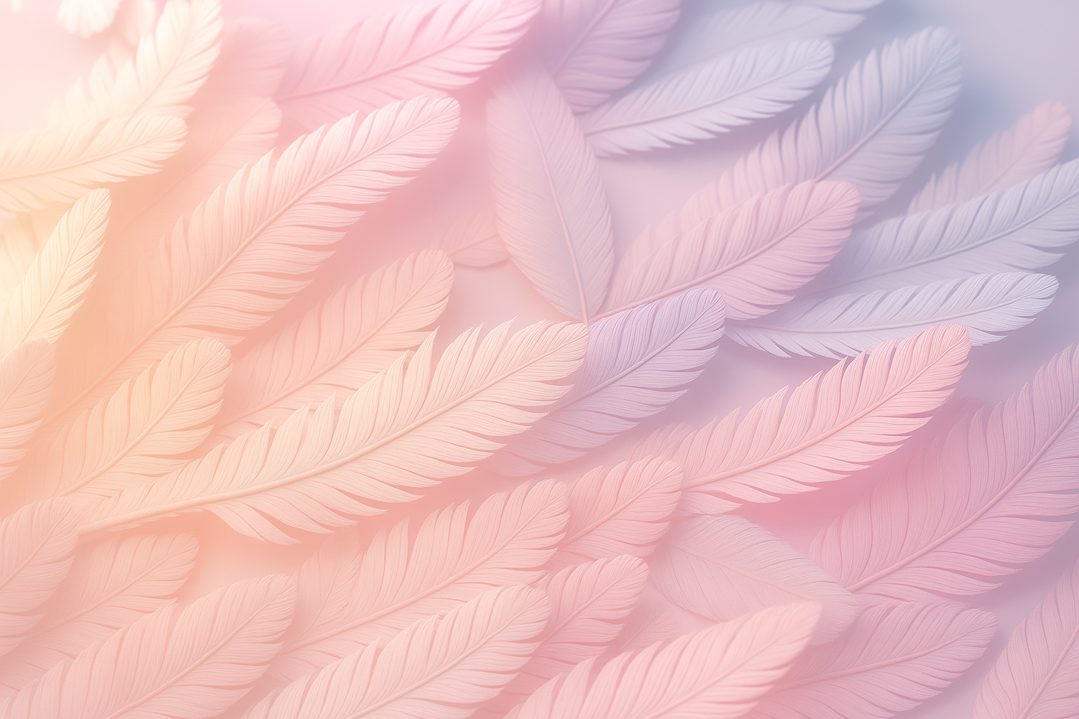 feathers background